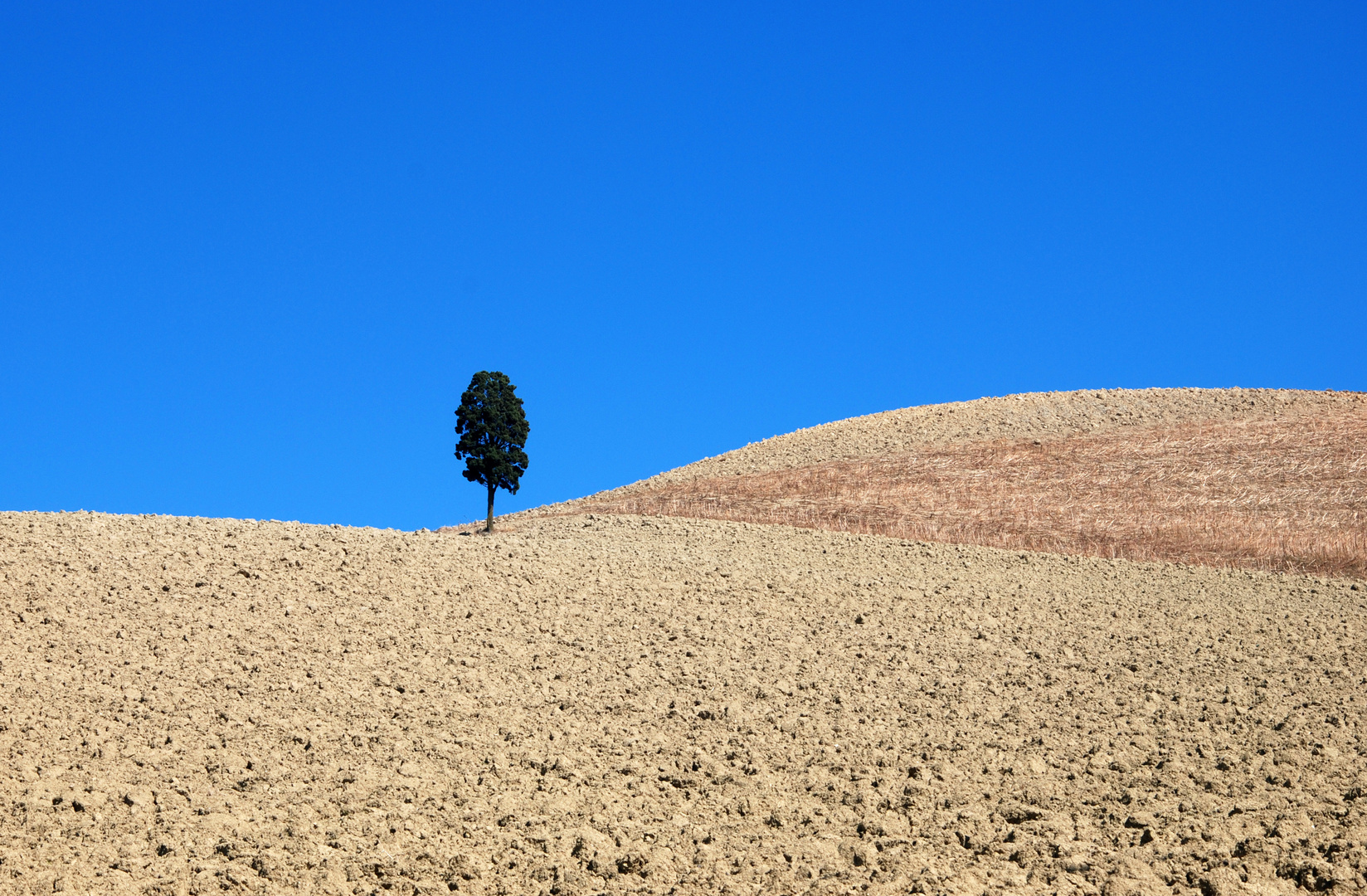 collina d'autunno