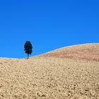 collina d'autunno