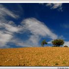 Collina d'Autunno