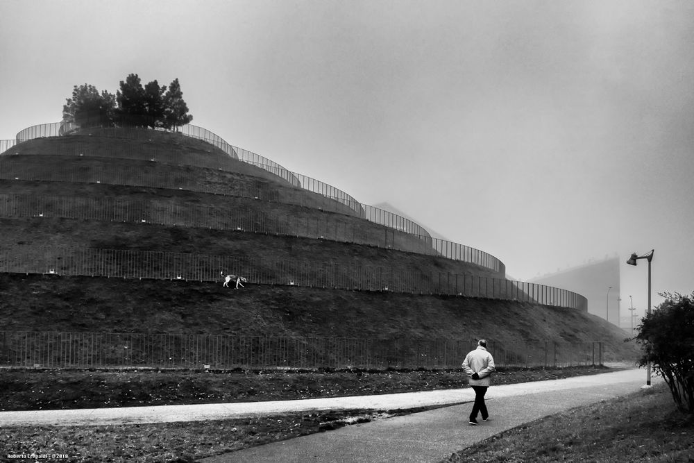 Collina del DNA, Portello di Milano