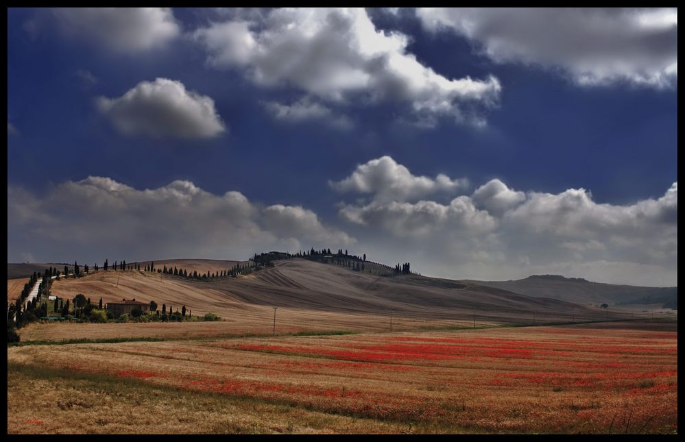 Collina di Leonina...