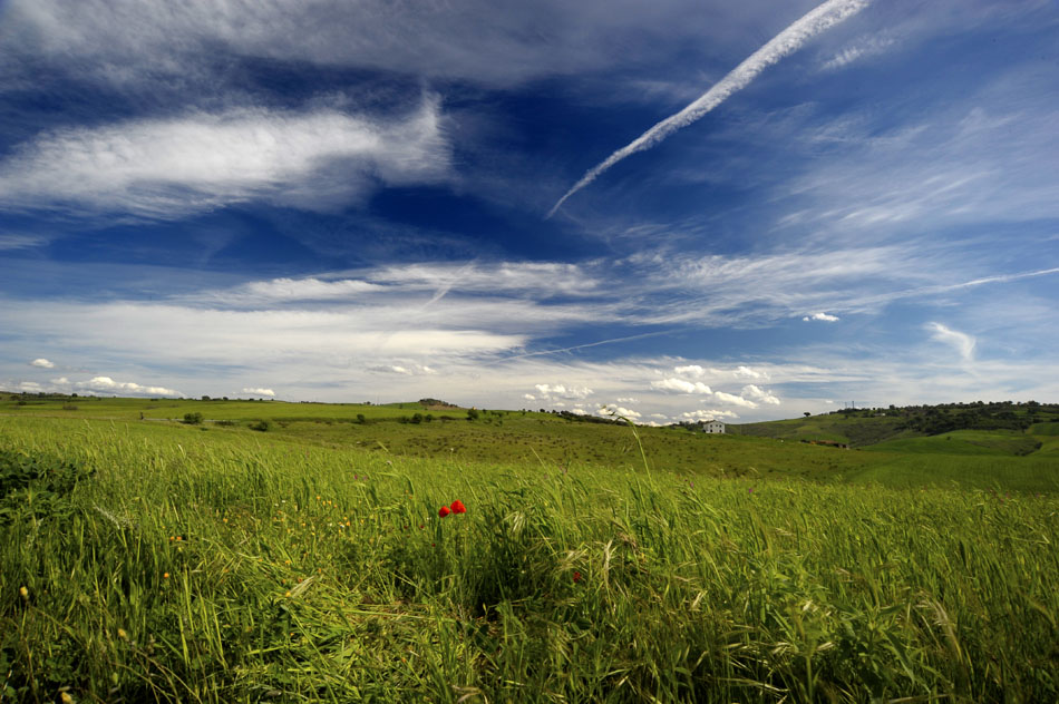 Colline 1