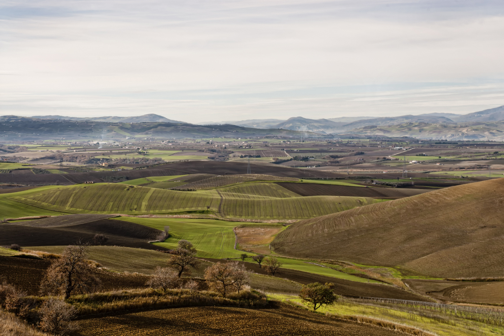 Colline