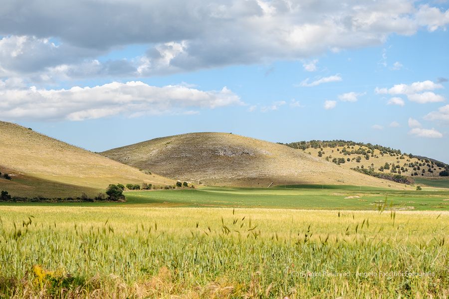 colline