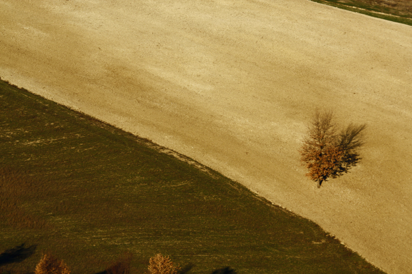 Colline bolognesi