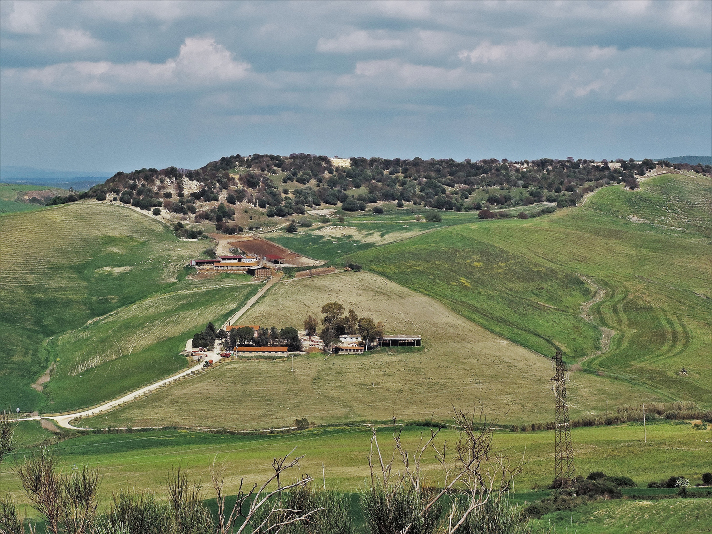 Colline