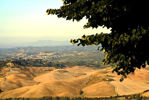 COLLINE COME DUNE