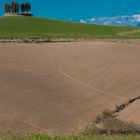 Colline d'autunno