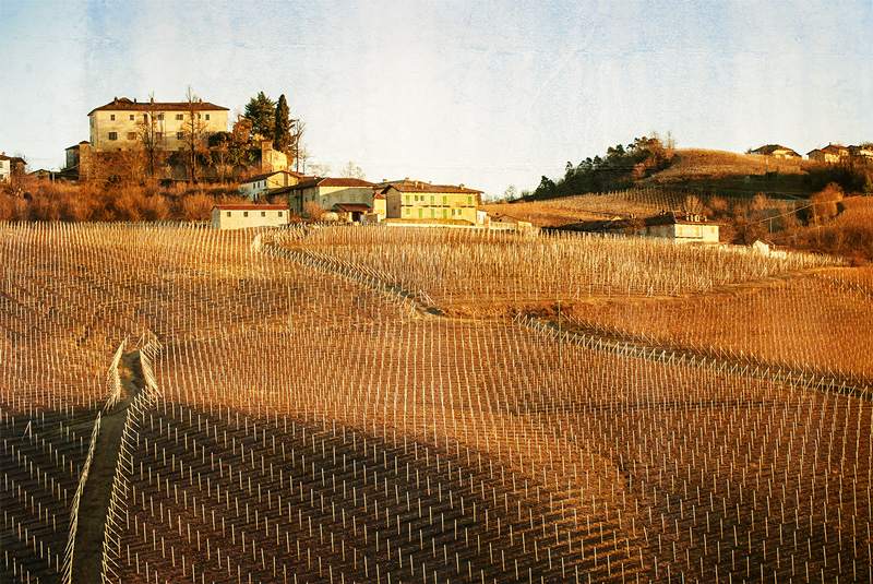 Colline del barolo