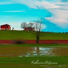 Colline del Monferrato 