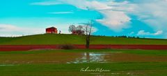 Colline del Monferrato 