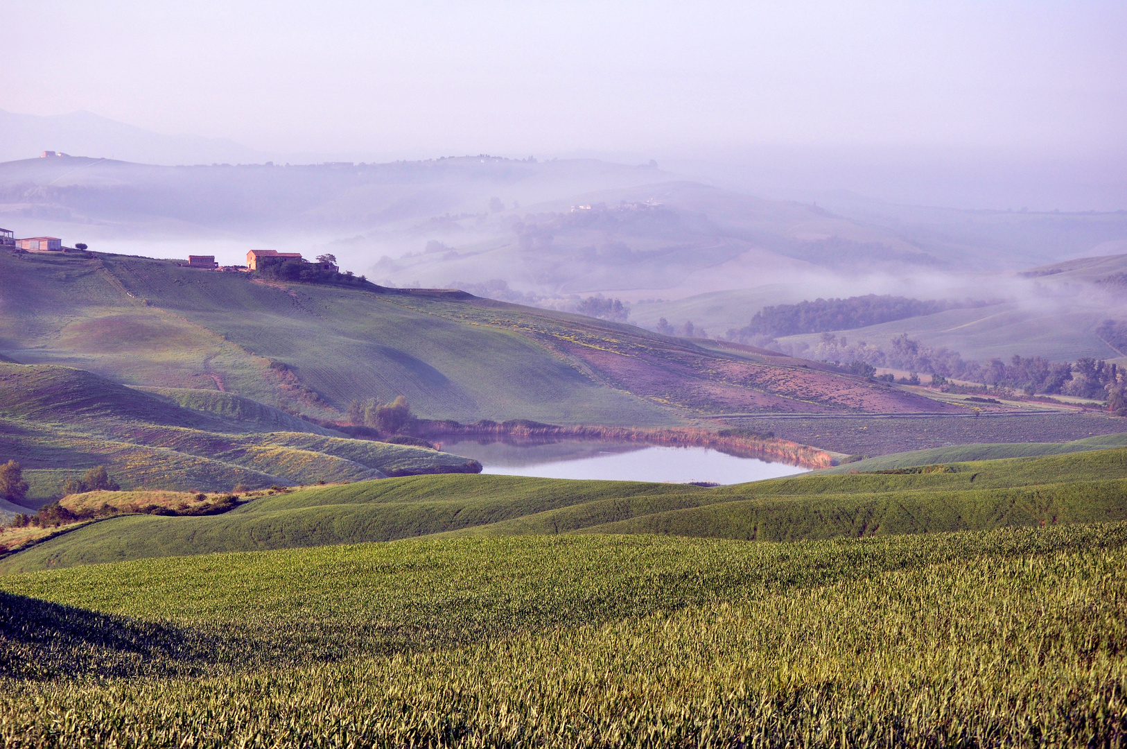 Colline del senese -1-