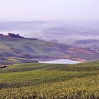 Colline del senese -1-