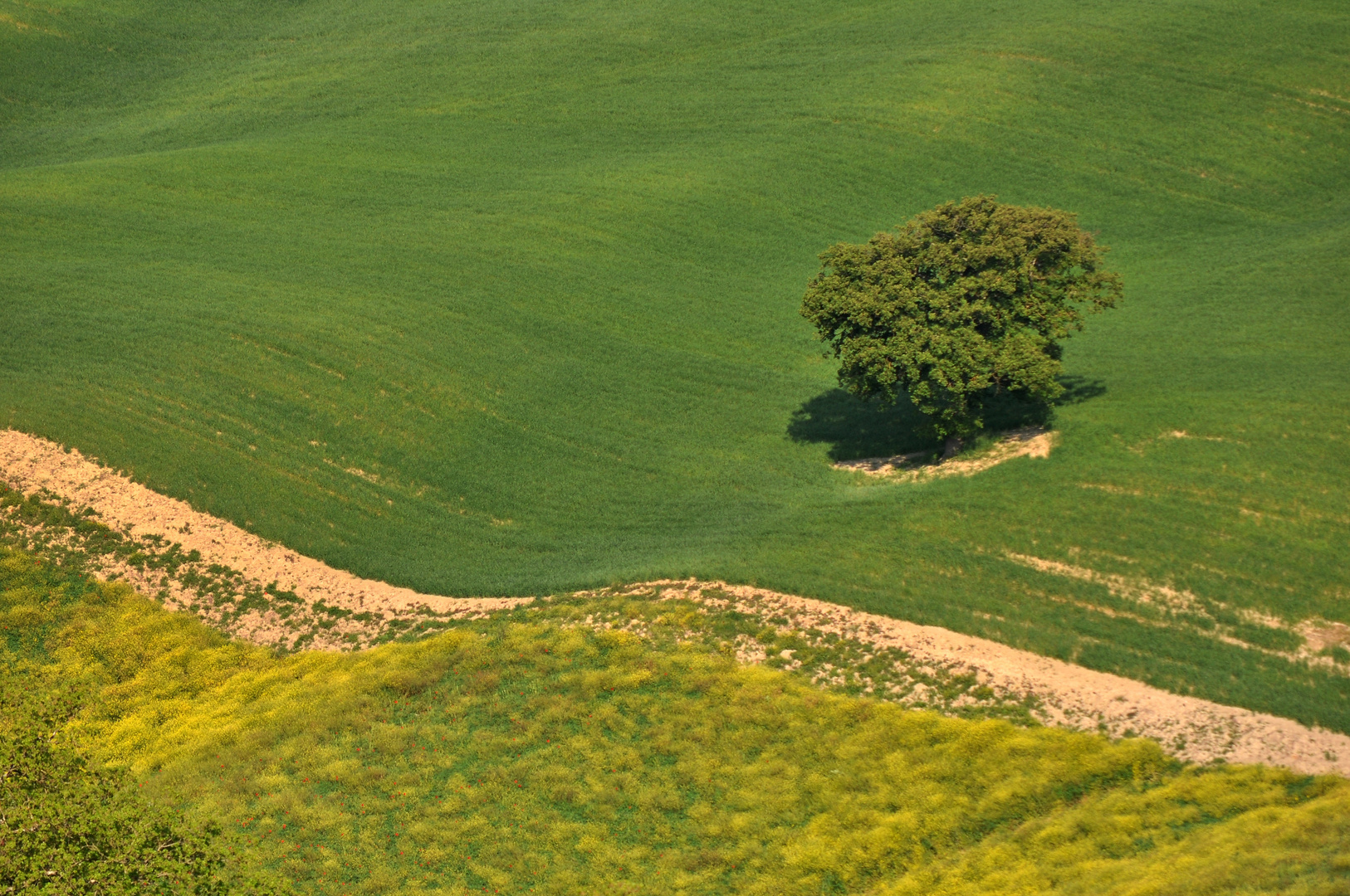 Colline del senese -3-