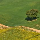 Colline del senese -3-