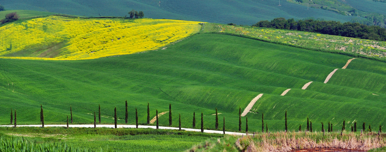 Colline del senese -5-