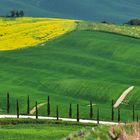 Colline del senese -5-