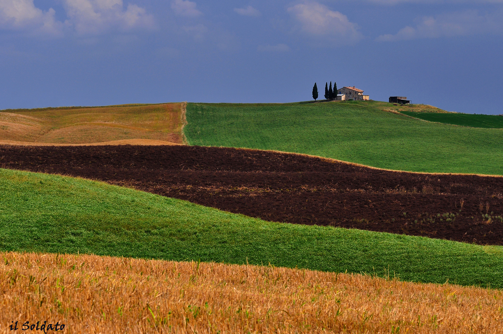 Colline della Val d'Orcia