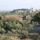 colline des mourgues oliviers et palais des papes septembre 2010