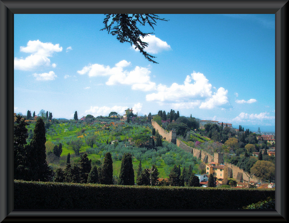 Colline di Firenze (2009)