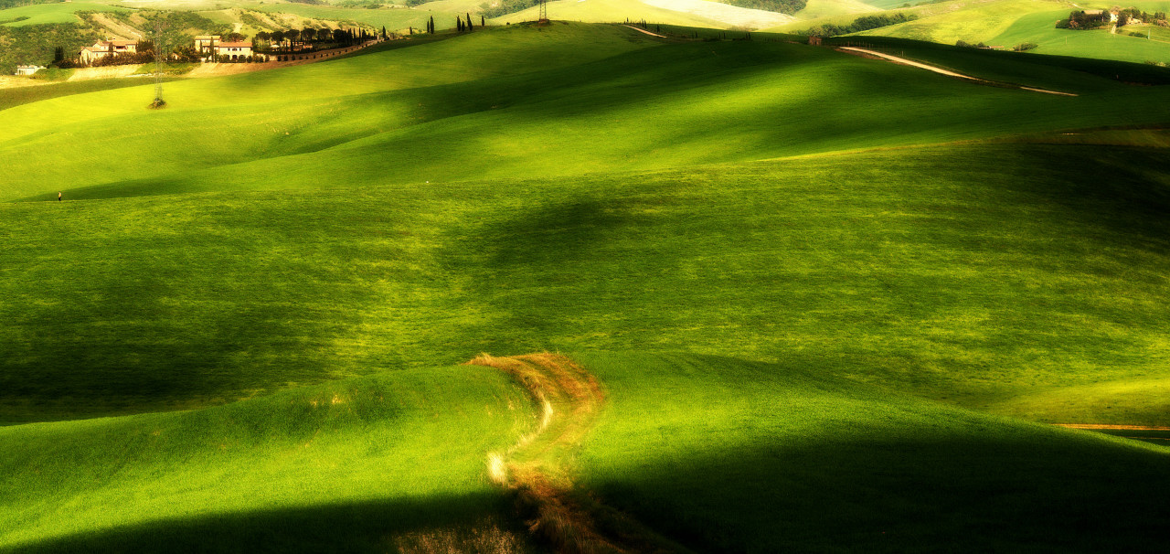 Colline di Lajatico 2017 01