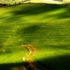 Colline di Lajatico 2017 01