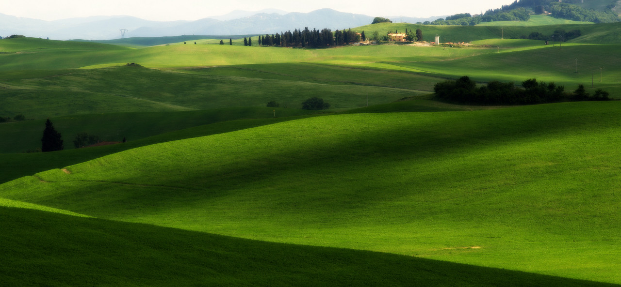 Colline di Lajatico 2017 04