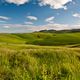 Colline di Lajatico