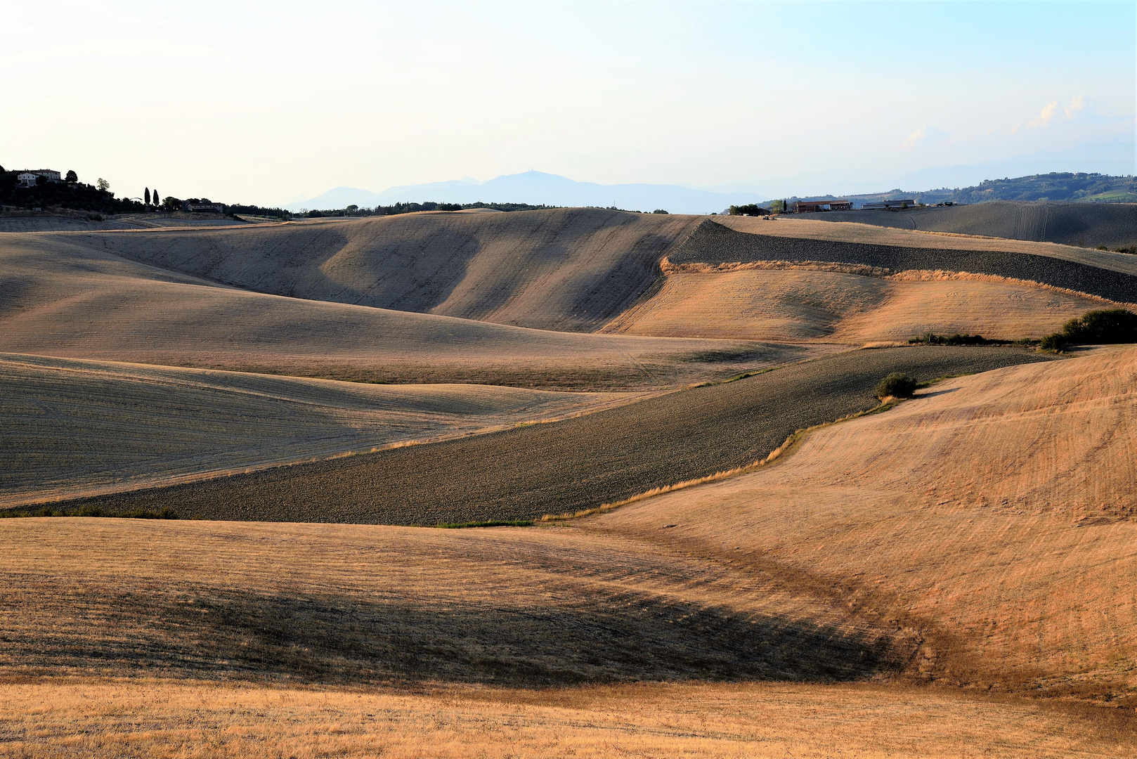 Colline di Lajatico Pisa