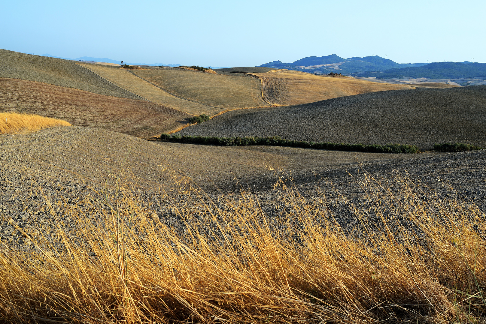 Colline di Lajatico Pisa