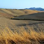 Colline di Lajatico Pisa