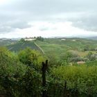 Colline di Nizza Monferrato