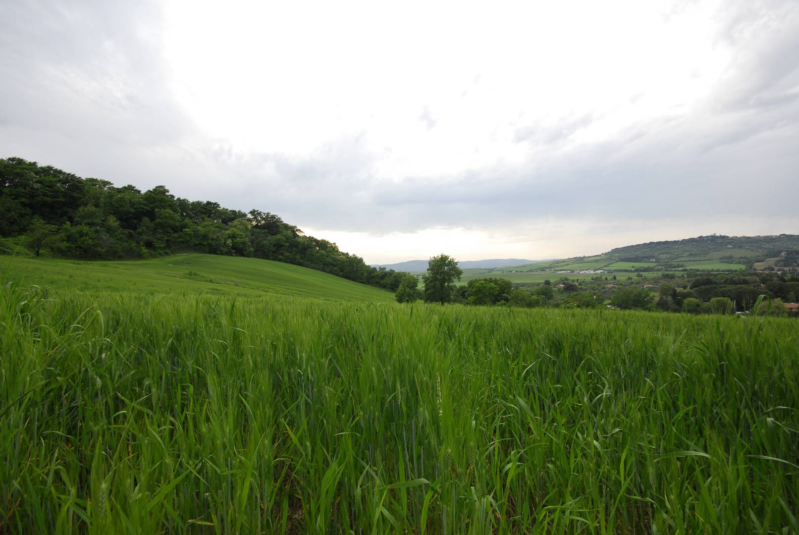 Colline di Saturnia