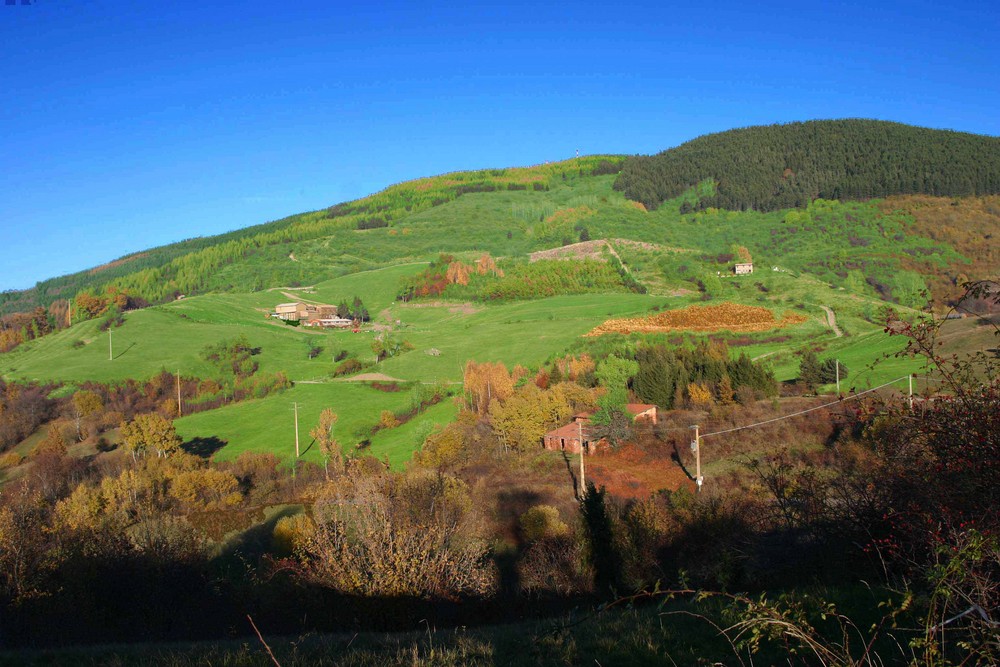 Colline di scaparina