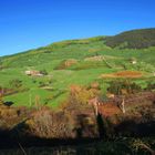 Colline di scaparina