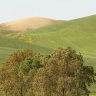 Colline di Tarquinia.