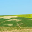 Colline di Tarquinia...dal verde irlandese