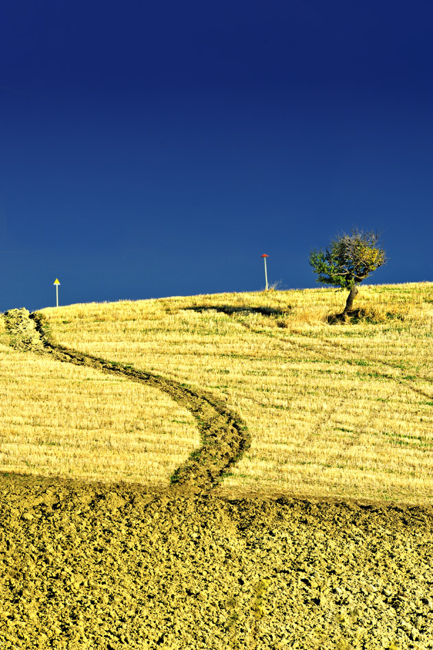 colline di Tarsia