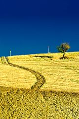 colline di Tarsia