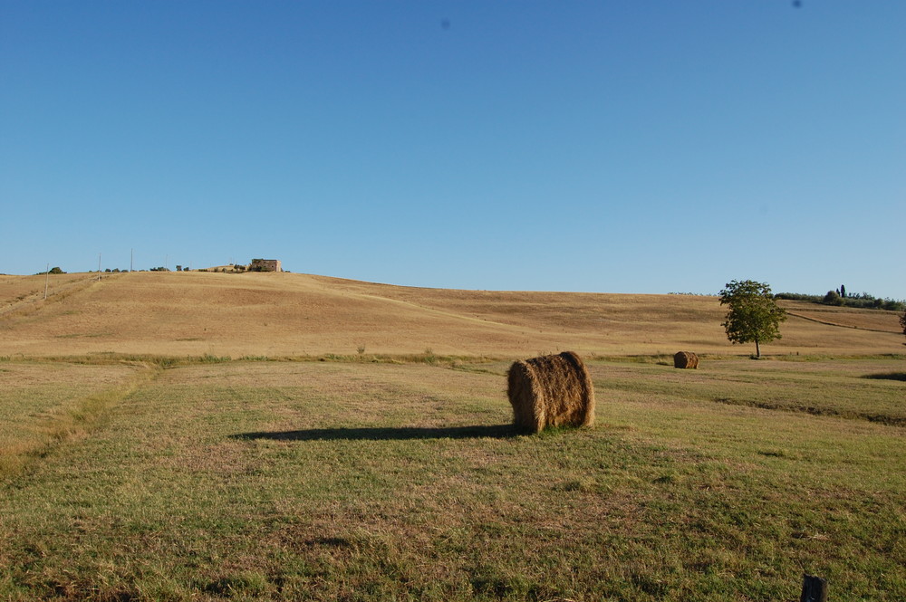 Colline di VInci