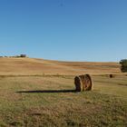 Colline di VInci