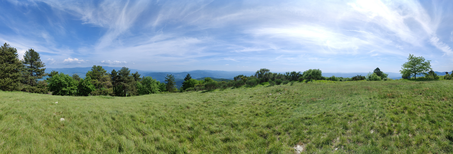 Colline dintorni Firenze