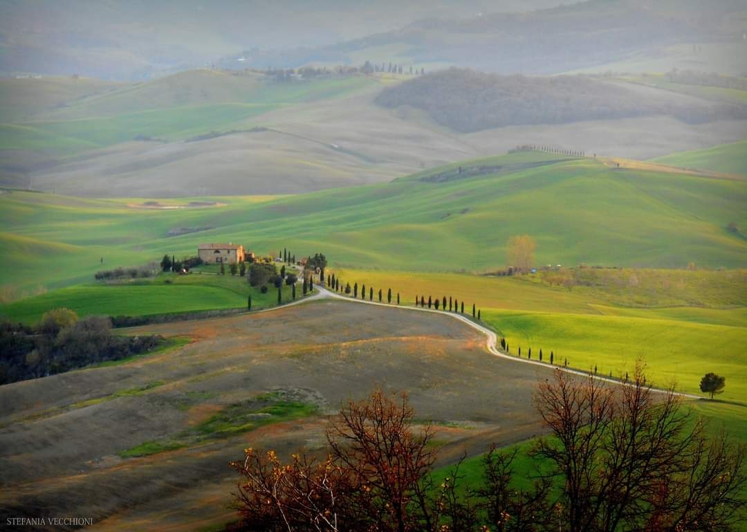 Colline, dolci armonie