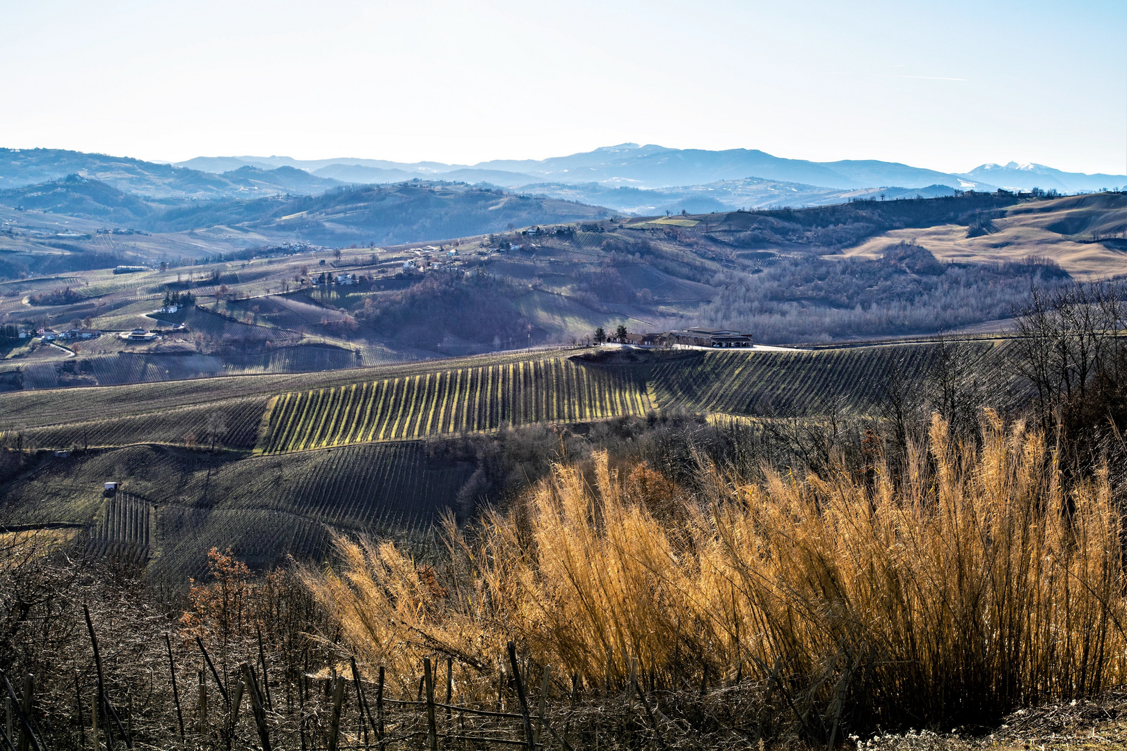 Colline d'Oltrepò