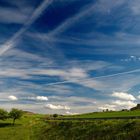 Colline e colori 2