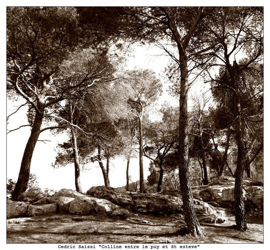 Colline entre le puy et st esteve