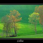 Colline