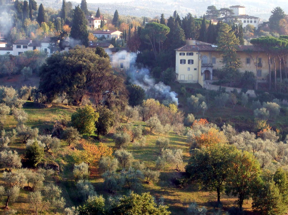 colline fiorentine a novembre