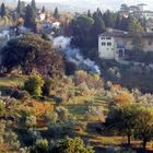 colline fiorentine a novembre