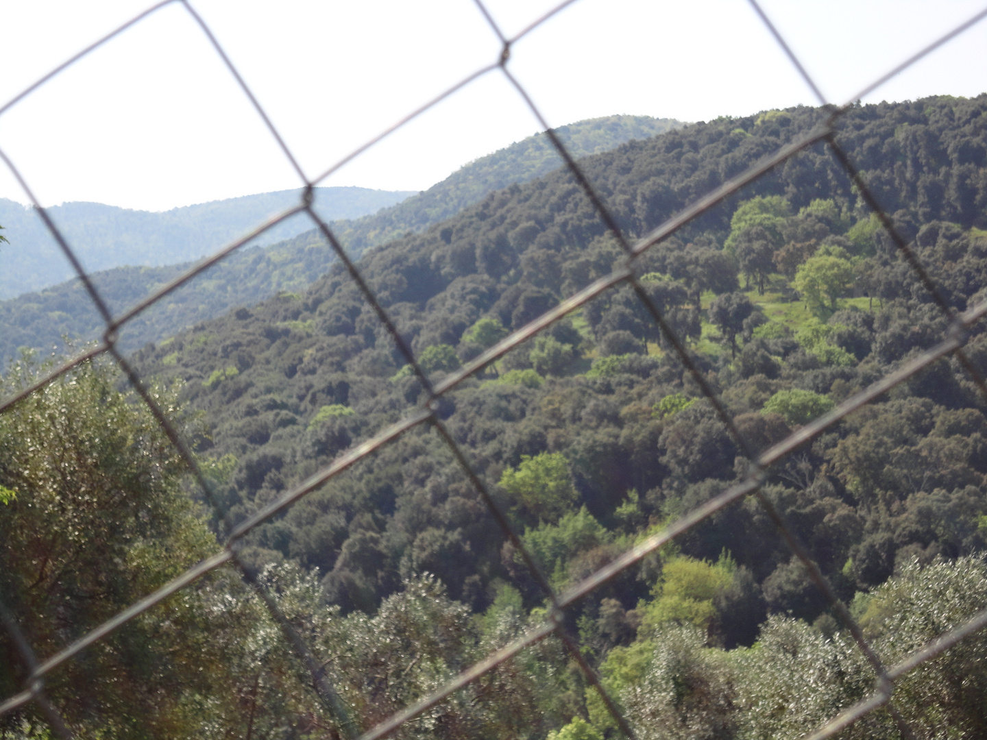 colline fuor dall' oscurità e nel buio armniosità